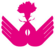 康乃馨plus